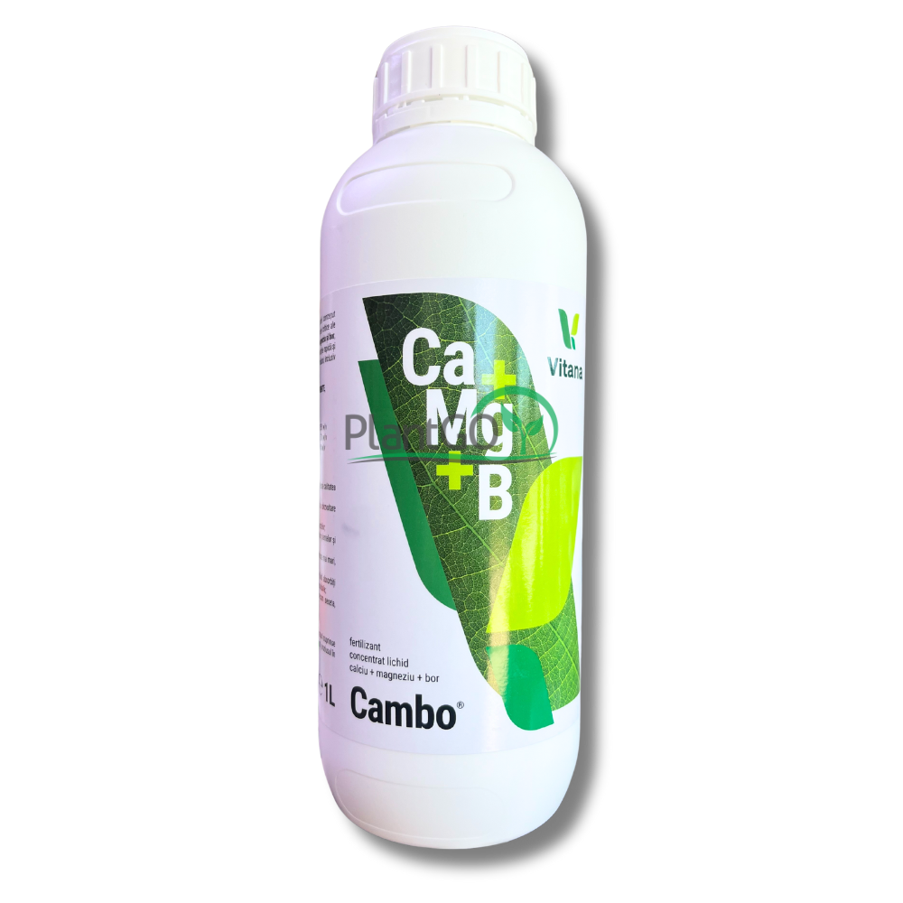 Cambo 1L