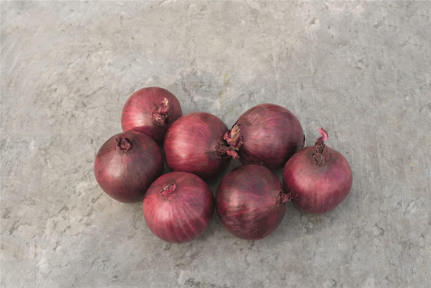 Ceapa rosie Robin 10.000 seminte - PlantGO