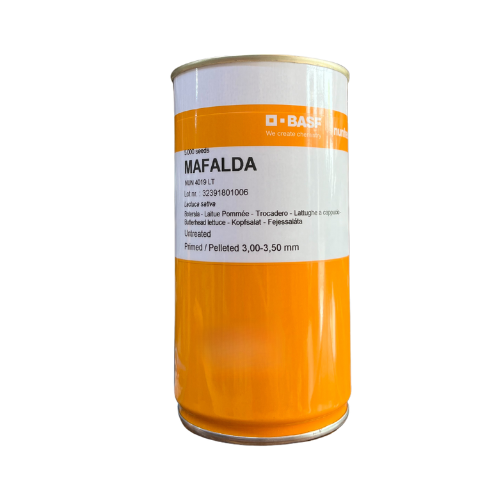 Salata Mafalda drajata 5000 seminte - PlantGO