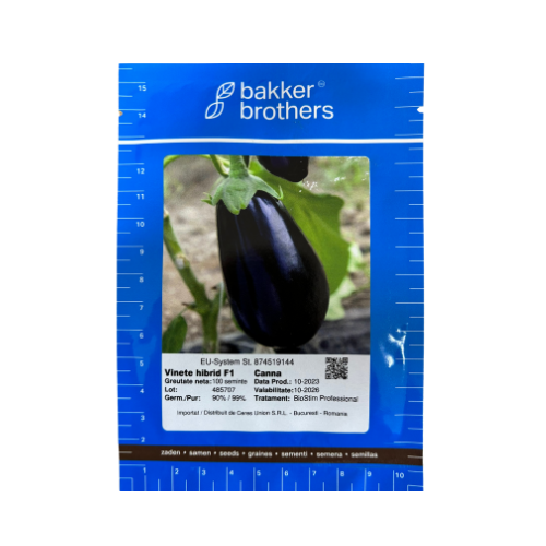 Vinete Canna F1 100 seminte - PlantGO