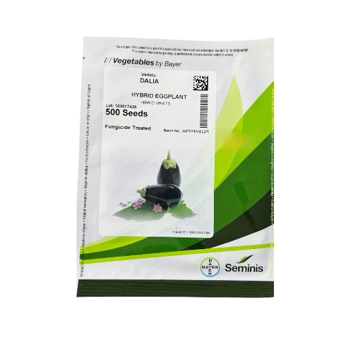 Vinete Dalia 500 seminte - PlantGO