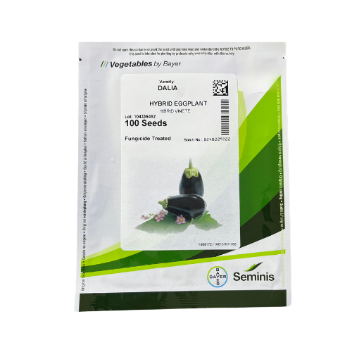 Vinete Dalia 100 seminte - PlantGO