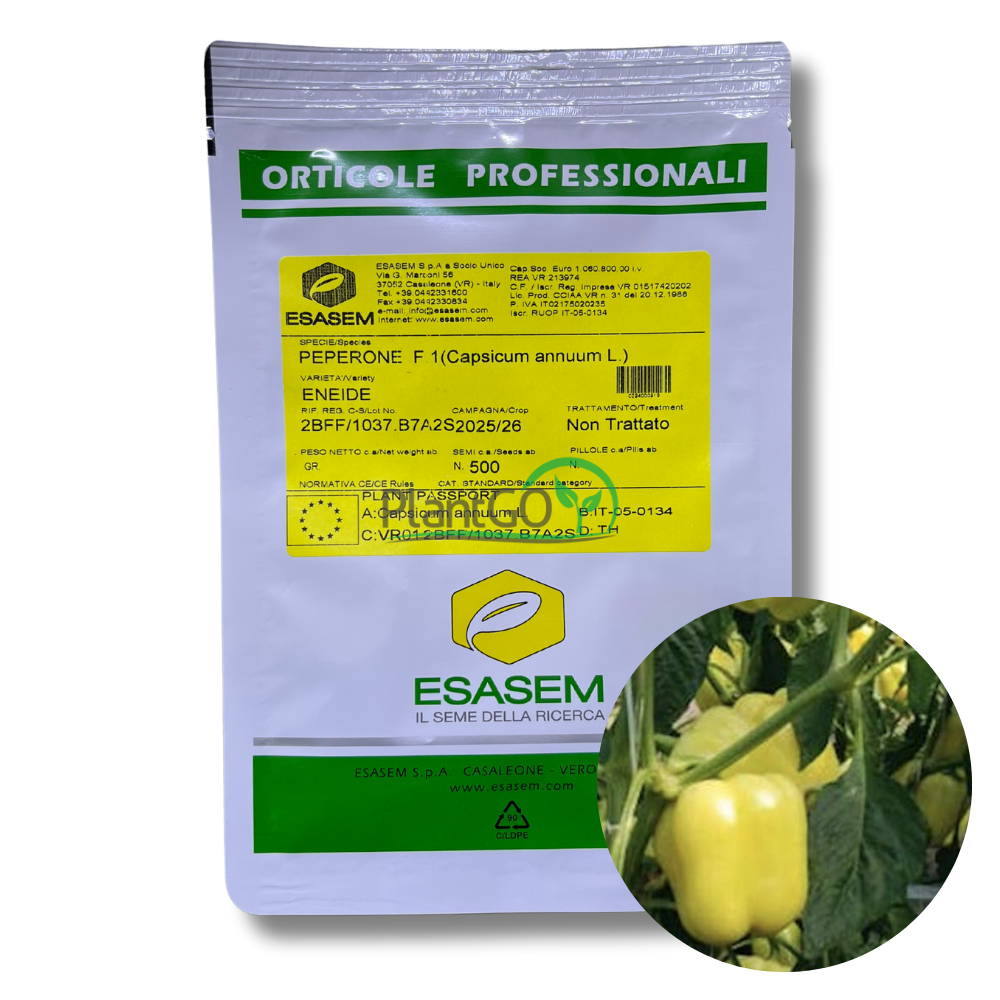 Ardei gras Eneide F1 500 seminte