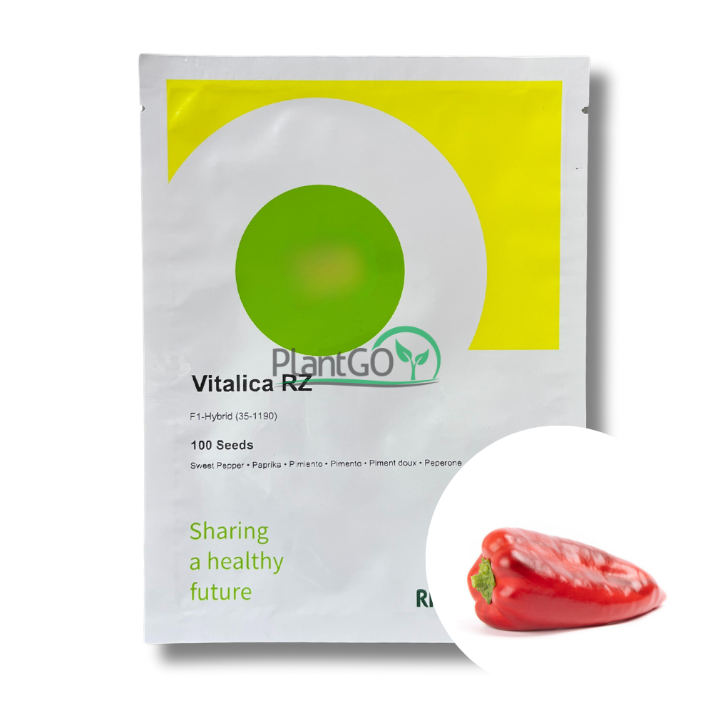 Ardei kapia Vitalica RZ F1 100 seminte - PlantGO