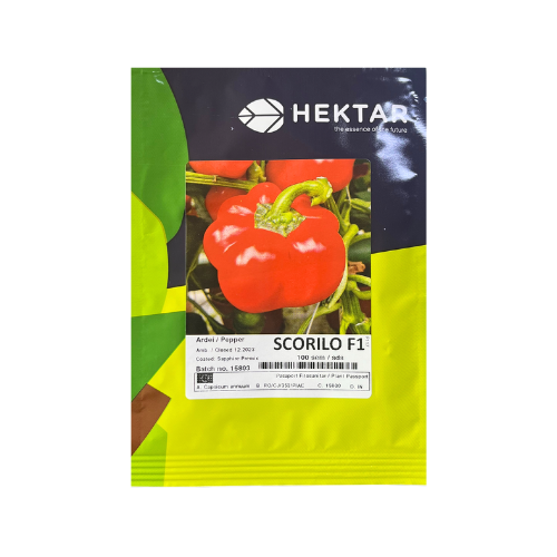 Ardei gogosar Scorilo F1 100 seminte - PlantGO