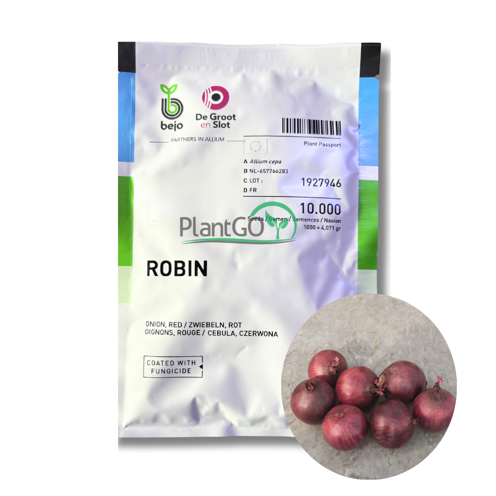 Ceapa rosie Robin 10.000 seminte - PlantGO