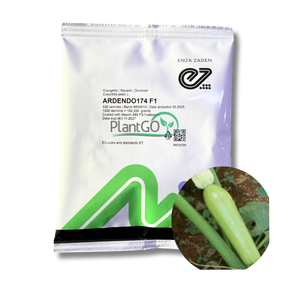 Dovlecel Ardendo F1 500 seminte - PlantGO