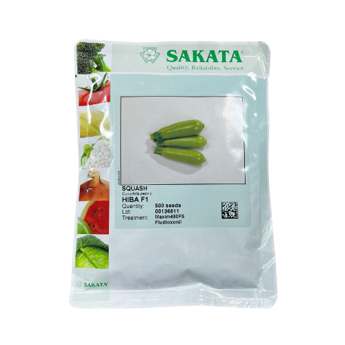 Dovlecel Hiba F1 500 seminte - PlantGO