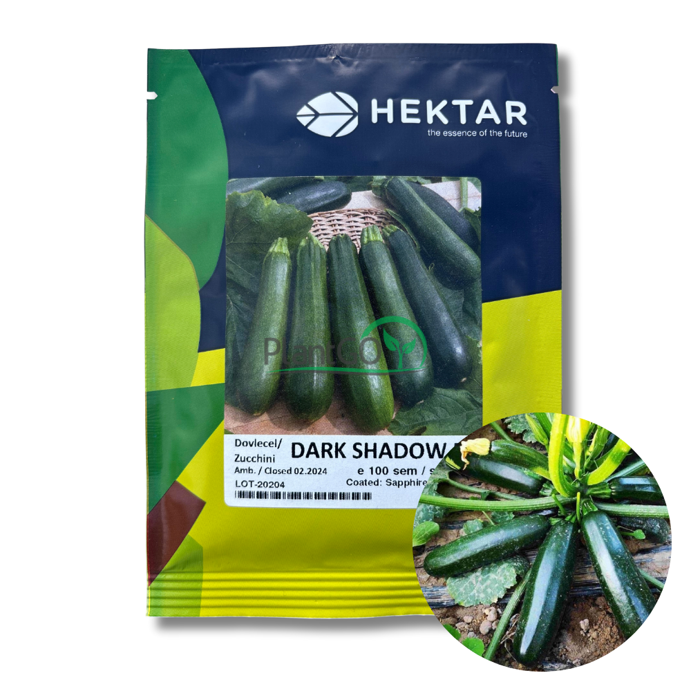 Dovlecel Dark Shadow F1 100 seminte - PlantGO