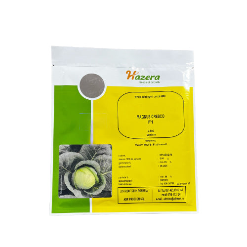 Varza Magnus Cresco F1 2500 seminte - PlantGO