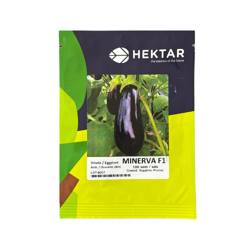 Vinete Minerva F1 100 seminte - PlantGO