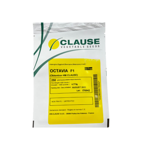 Vinete Octavia F1 250 seminte - PlantGO