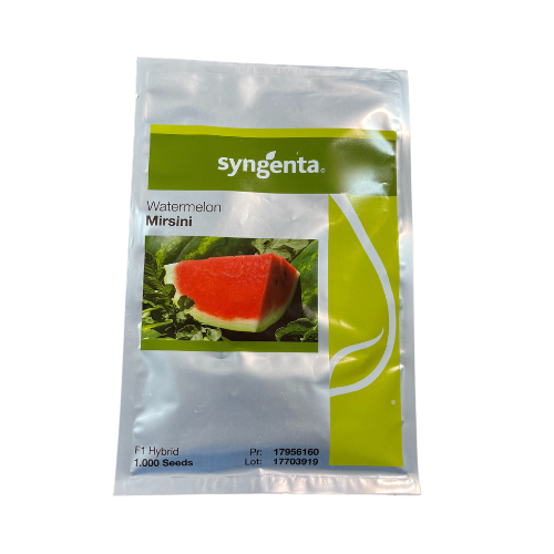 Pepene verde Mirsini F1 1000 seminte - PlantGO