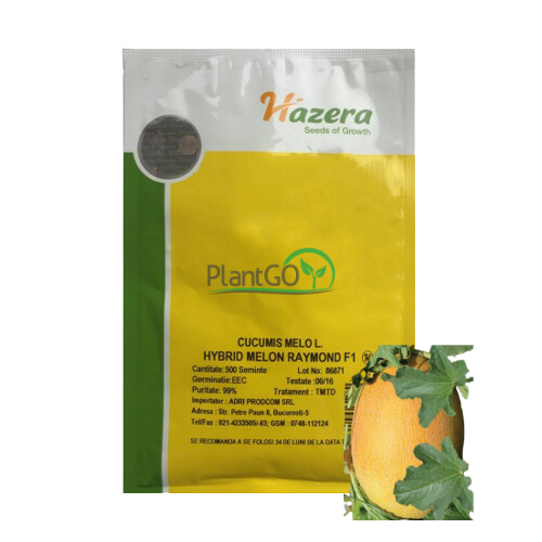 Pepene galben Raymond F1 500 seminte - PlantGO