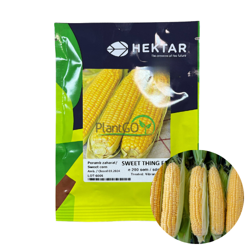 Porumb zaharat Sweet Thing F1 200 semințe - PlantGO