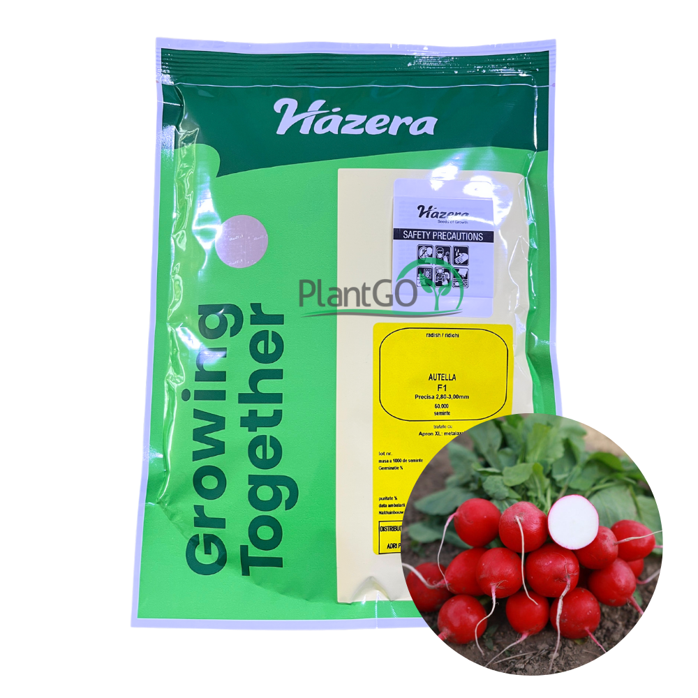 Ridichi Autella F1 50000 seminte - PlantGO