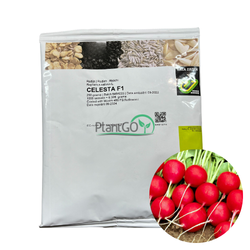 Ridichi Celesta F1 250 gr - PlantGO