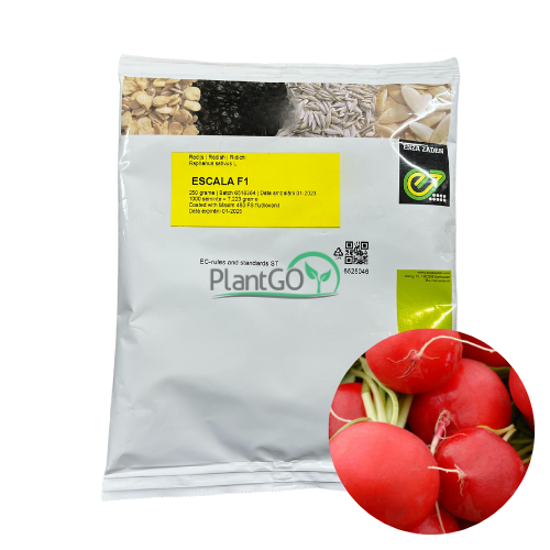 Ridichi Escala F1 250 gr - PlantGO