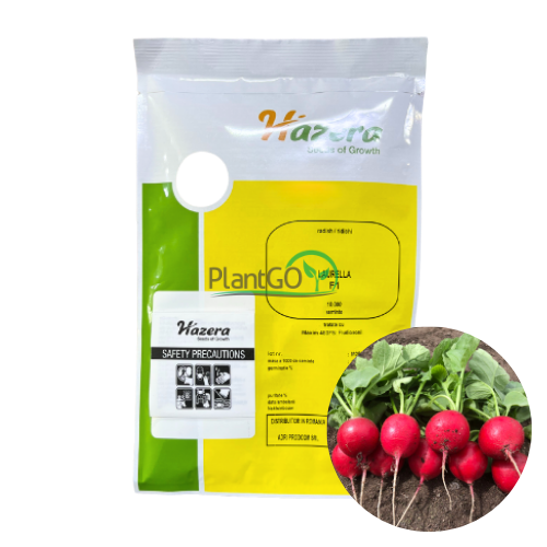 Ridichi Laurella F1 10000 seminte - PlantGO