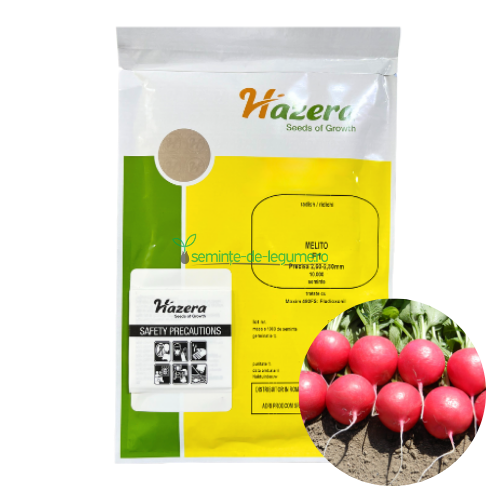 Ridichi Melito F1 10000 seminte - PlantGO