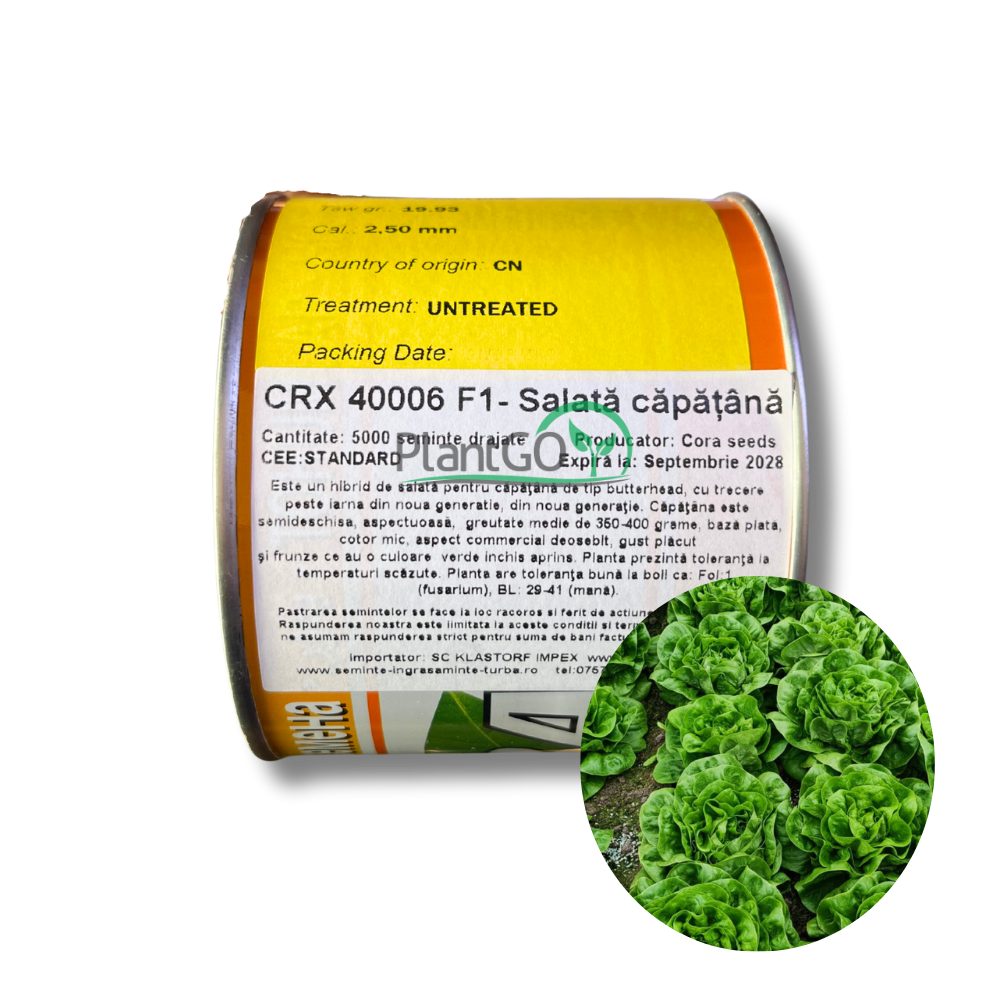 Salata capatana CRX 40006 drajata F1 5000 seminte - PlantGO