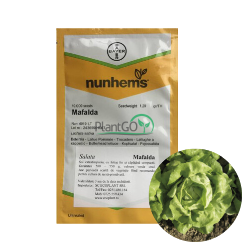 Salata Mafalda 10000 seminte - PlantGO