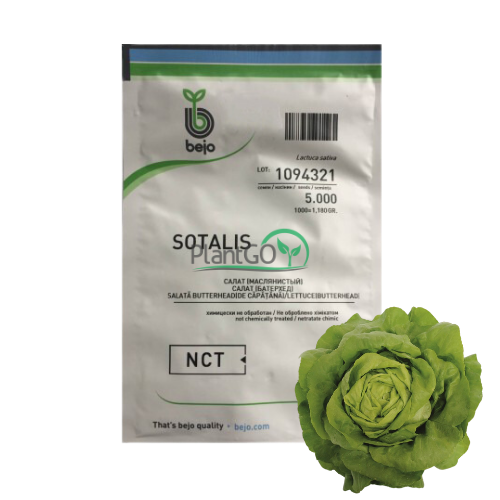 Salata Sotalis 5000 seminte - PlantGO