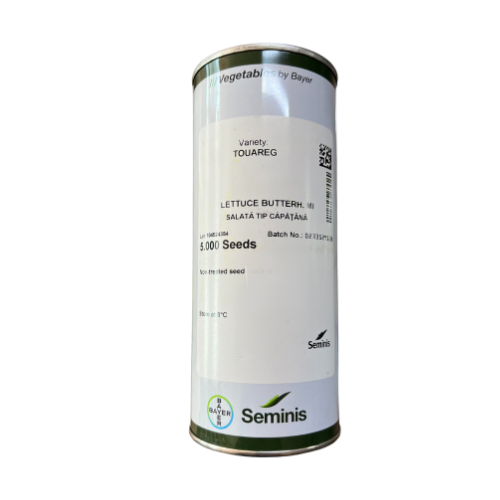 Salata Touareg drajata F1 5000 seminte - PlantGO