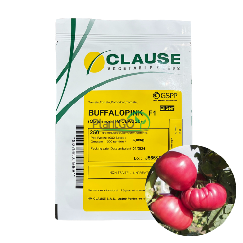 Tomate Buffalopink F1 250 seminte - PlantGO