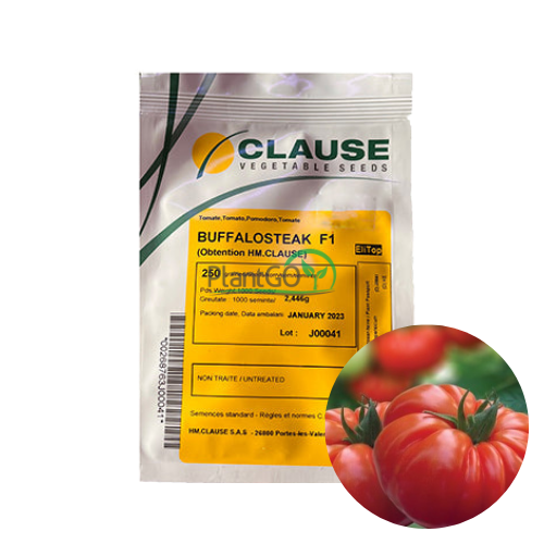 Tomate Buffalosteak F1 250 seminte - PlantGO