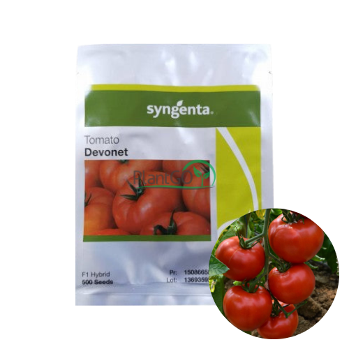 Tomate Devonet F1 500 seminte - PlantGO