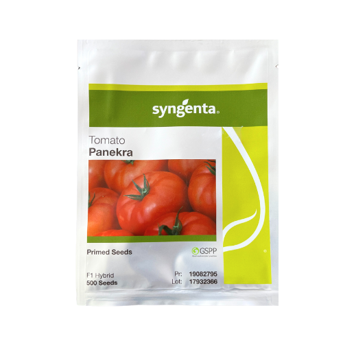 Tomate Panekra F1 500 seminte - PlantGO