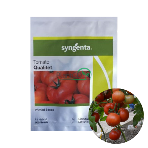 Tomate Qualitet F1 500 seminte - PlantGO