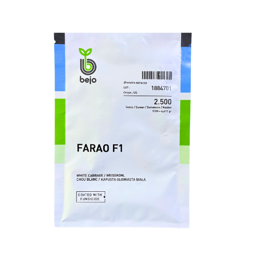 Varza Farao F1 2500 seminte - PlantGO