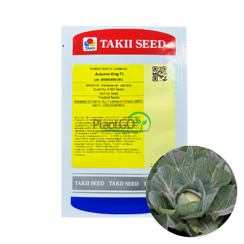Varza Autumn King F1 2500 seminte - PlantGO