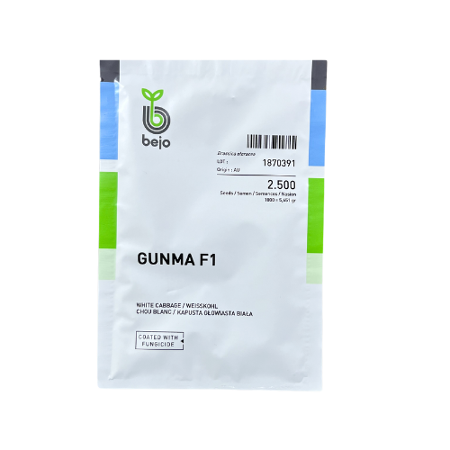 Varza Gunma F1 2500 seminte - PlantGO
