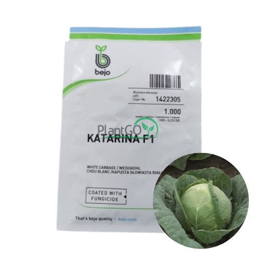 Varza Katarina F1 1000 seminte - PlantGO