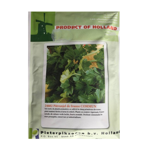 Patrunjel de frunze Commun 50 gr - Holland - seminte-de-legume.ro