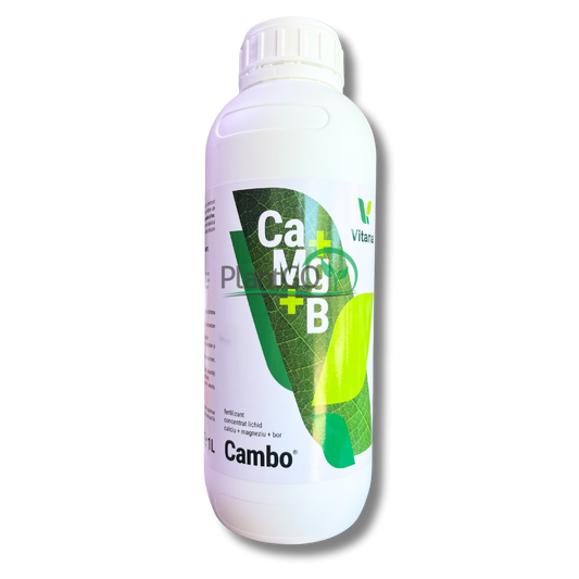 Cambo 1L