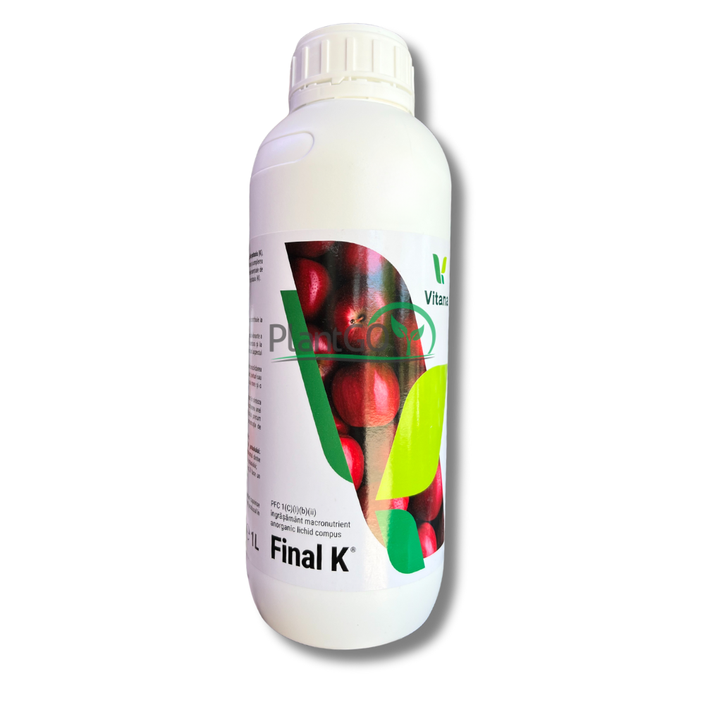 Final K 1L