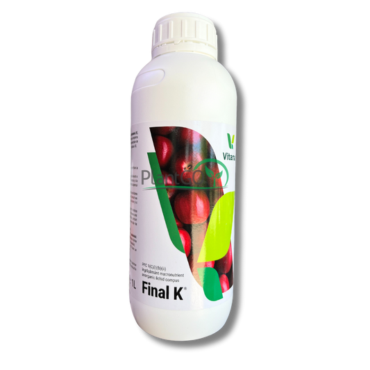 Final K 1L