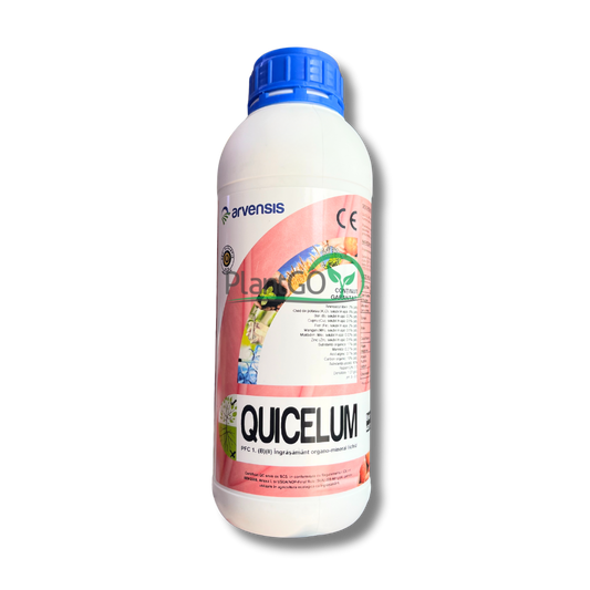 Quicelum 1L