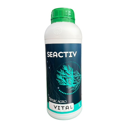 Seactiv Vital 1L