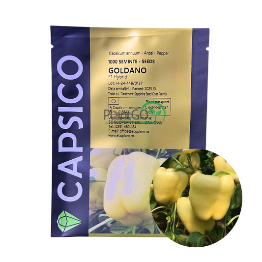 Ardei Goldano F1 1000 seminte