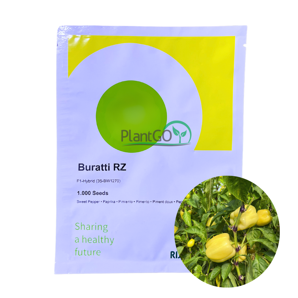 Ardei Buratti RZ F1 1000 seminte