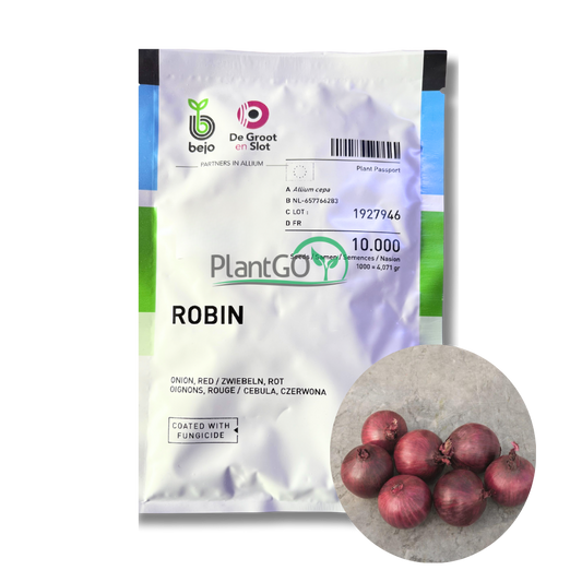 Ceapa rosie Robin 10.000 seminte - PlantGO