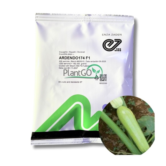 Dovlecel Ardendo F1 500 seminte - PlantGO