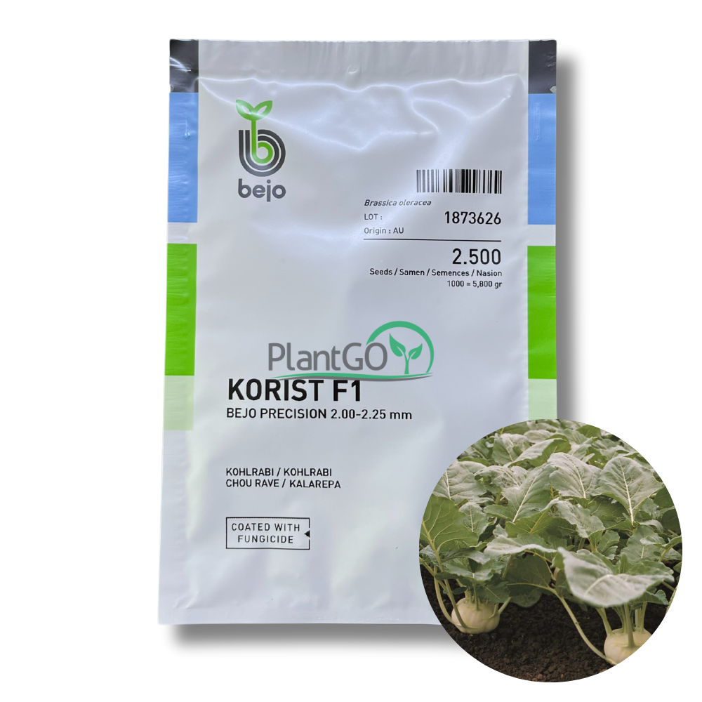 Gulii Korist F1 2500 seminte - PlantGO