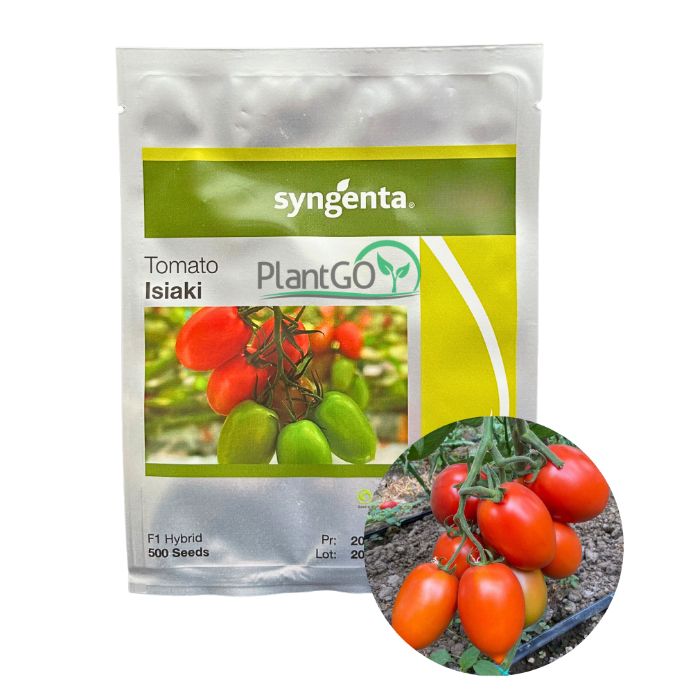 Tomate Isiaki F1 500 seminte - PlantGO