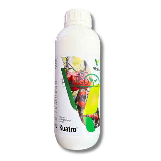 Kuatro 1L - PlantGO
